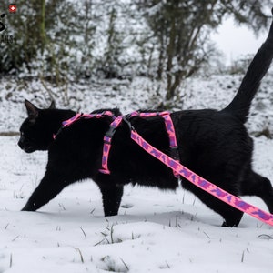 Könnte beinhalten: Eine schwarze Katze mit einem pink- und lilafarbenen Tarn-Geschirr geht durch den Schnee. Das Geschirr hat eine schwarze Schnalle und eine daran befestigte Leine.