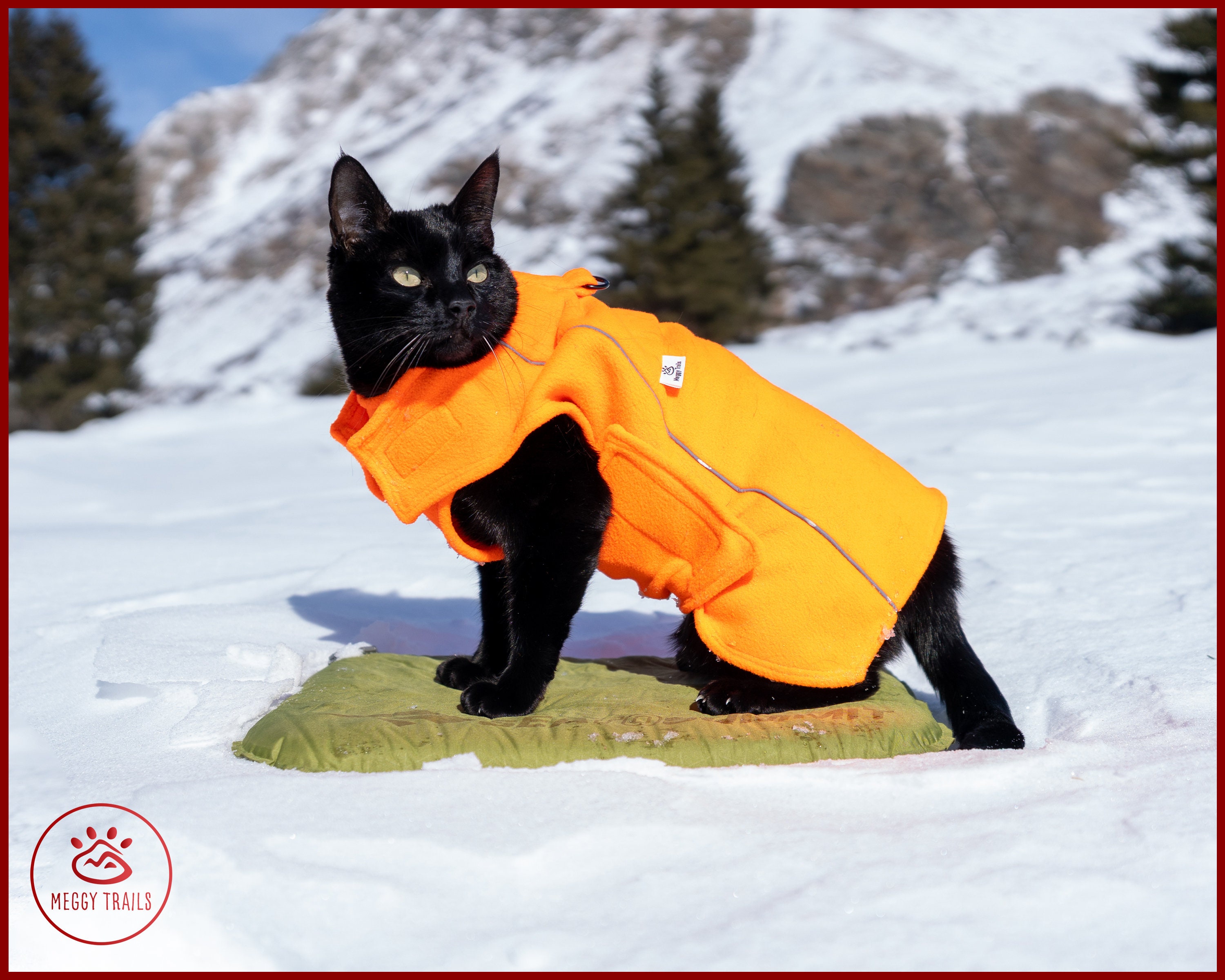 winter cat in puffer jacket meme