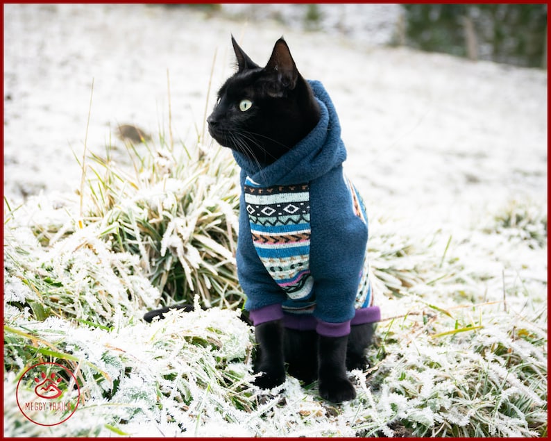 Fleece cat coat warm cat sweater hoodie for cat winter Etsy