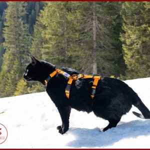 ESCAPE proof CAT HARNESS, Adjustable safety adventure cat harness, Y Front H Style cat training harness, travel cat gear image 8