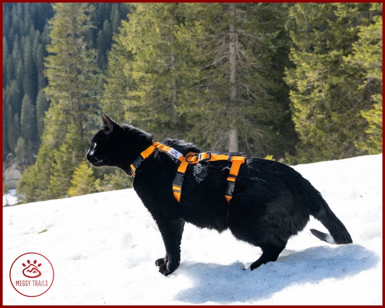 ESCAPE proof CAT HARNESS, Adjustable safety adventure cat harness, Y Front H Style cat training harness, travel cat gear image 8