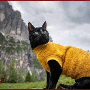 Warm fleece cat sweater, cat turtle neck vest