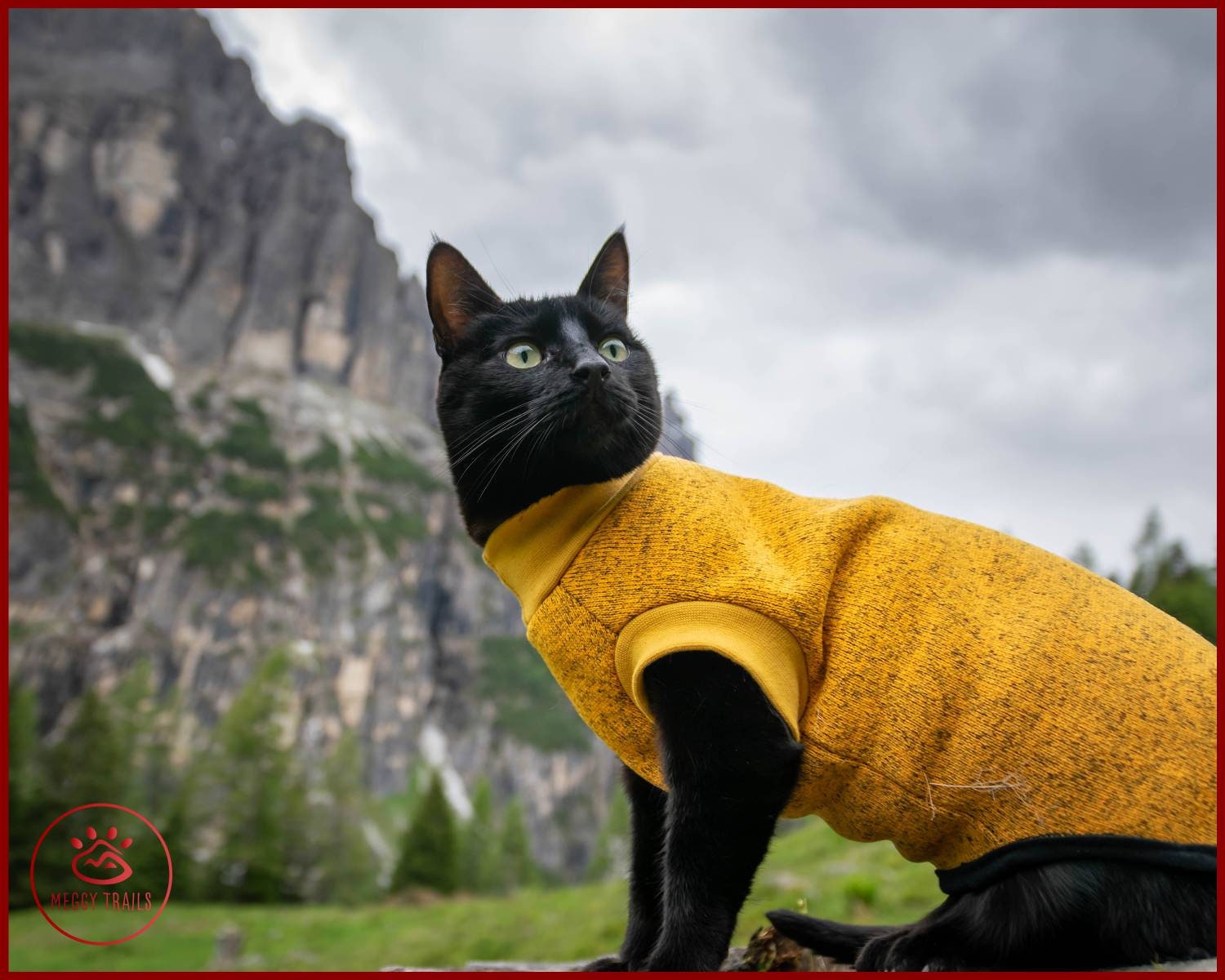 限定価格セール! Warm Fleece Cat Sweater, Cat Turtle Neck Vest - Etsy Clothing