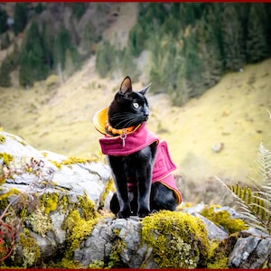 Può includere: Un gatto nero con una giacca di pile rosa e arancione è seduto su uno scoglio ricoperto di muschio. Il gatto guarda a destra del fotogramma.