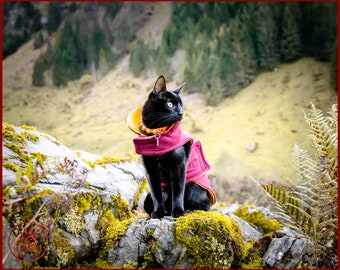 WARM CAT JACKET, Polar fleece cat jacket, warm cat clothes, winter jacket for cat, cat vest