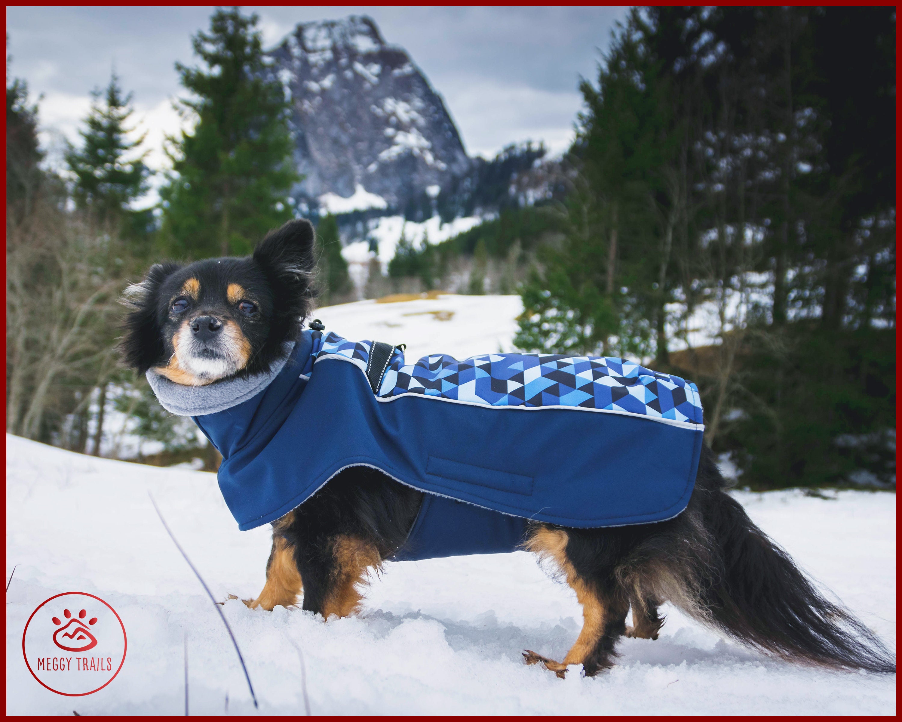 EXTRA warm dog winter coat softshell fleece coat for dogs Etsy