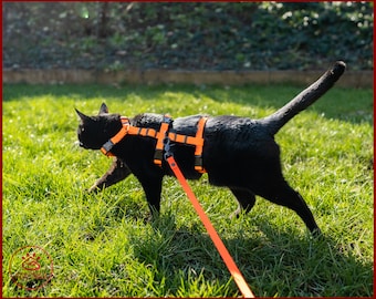 Set ontsnappingsbestendig KATTENHARNAS en waterdichte LEASH, Verstelbaar veiligheidsavontuur kattenharnas, Y Front H Style kattenharnas, duurzame beuglijn