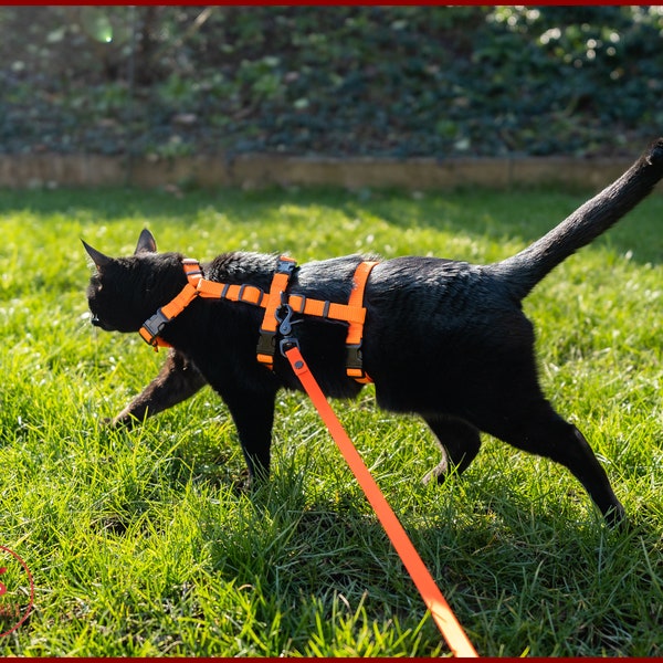 Set aus ausbruchsicherem KATZENGESCHIRR und wasserdichter LEINE, verstellbarem Sicherheits-Abenteuer-Katzengeschirr, Y-Front-Katzengeschirr im H-Stil, langlebiger Langleine