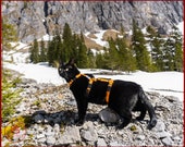 ESCAPE Proof CAT HARNESS Adjustable Safety Adventure Cat Harness Secure Full Body Comfortable Cat Training Harness Travel Cat Gear Etsy UK