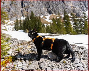 ARNÉS PARA GATOS a prueba de ESCAPE, Arnés para gatos de aventura de seguridad ajustable, Arnés de entrenamiento para gatos estilo Y frontal H, equipo de viaje para gatos