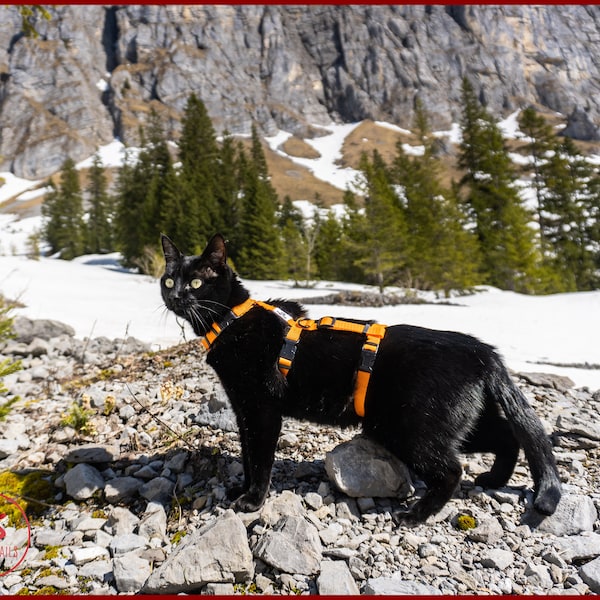 Escape Proof Cat Harness: Adjustable Adventure Gear, Full body, Swiss Made