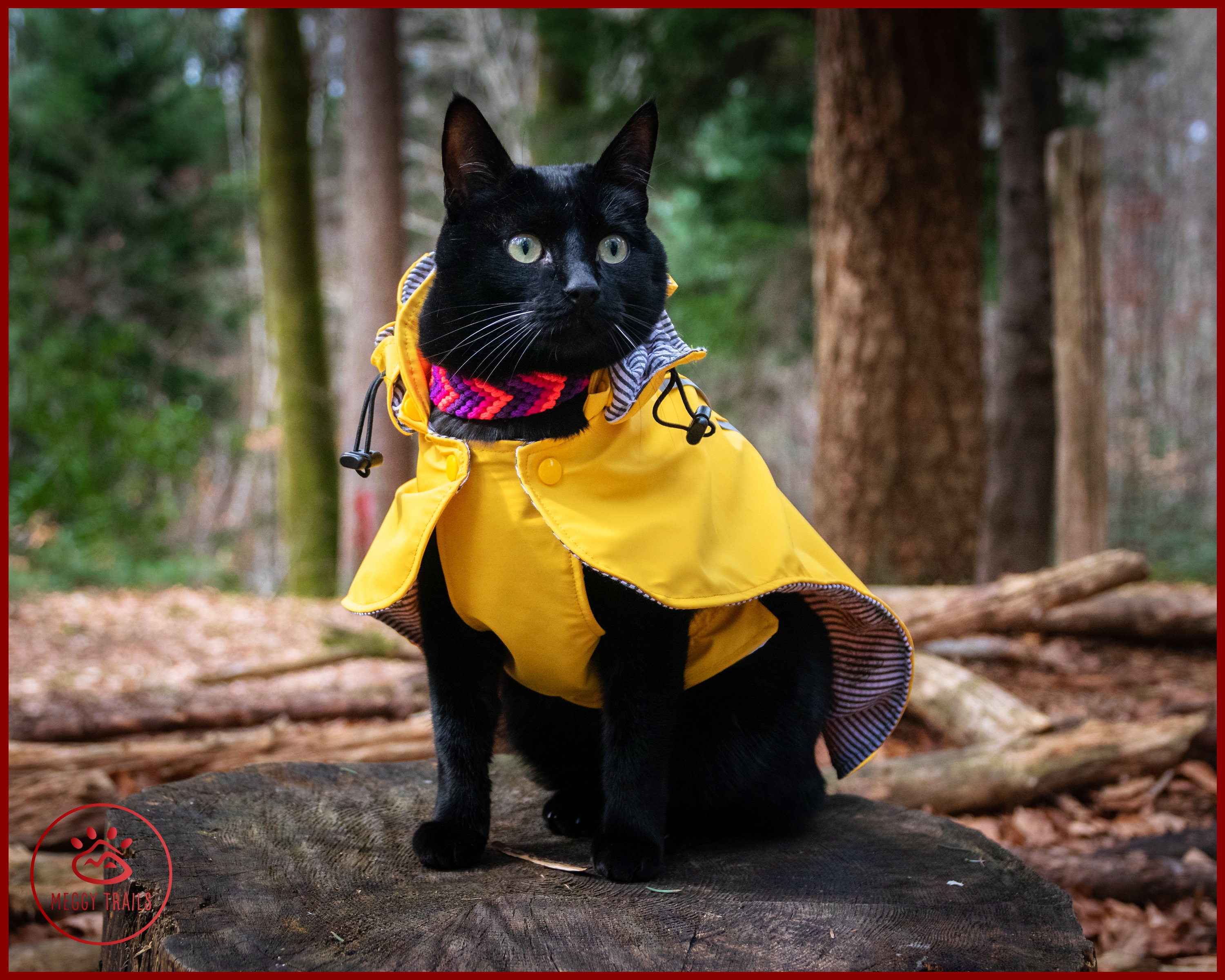 Stylish CAT Rain JACKET Waterproof Cat Coat Yellow Vintage 