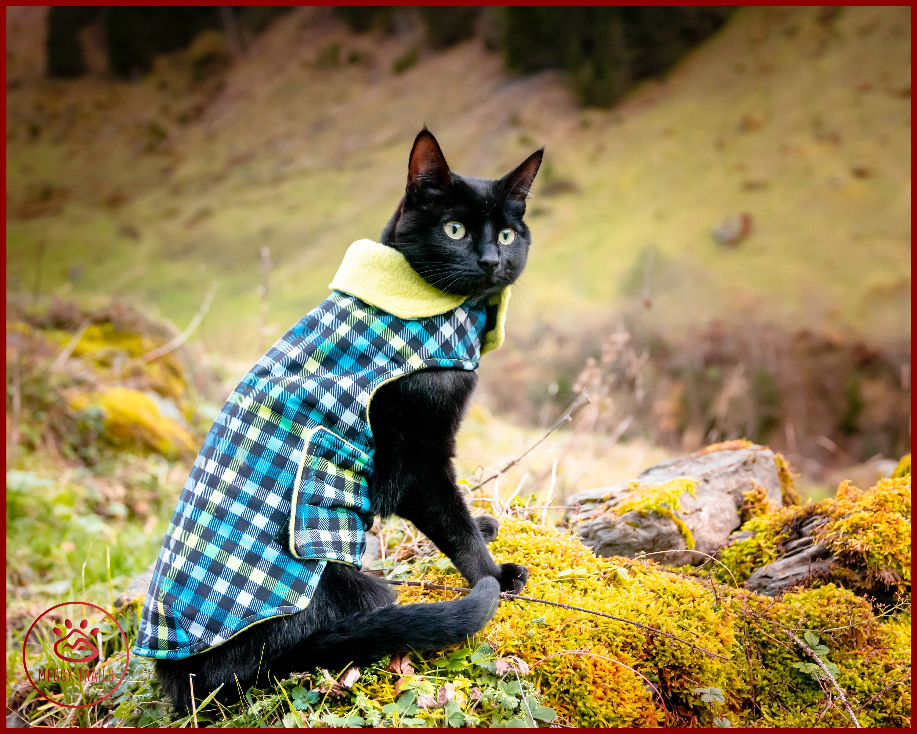 Warm winter cat jacket from softshell double layer cat coat | Etsy