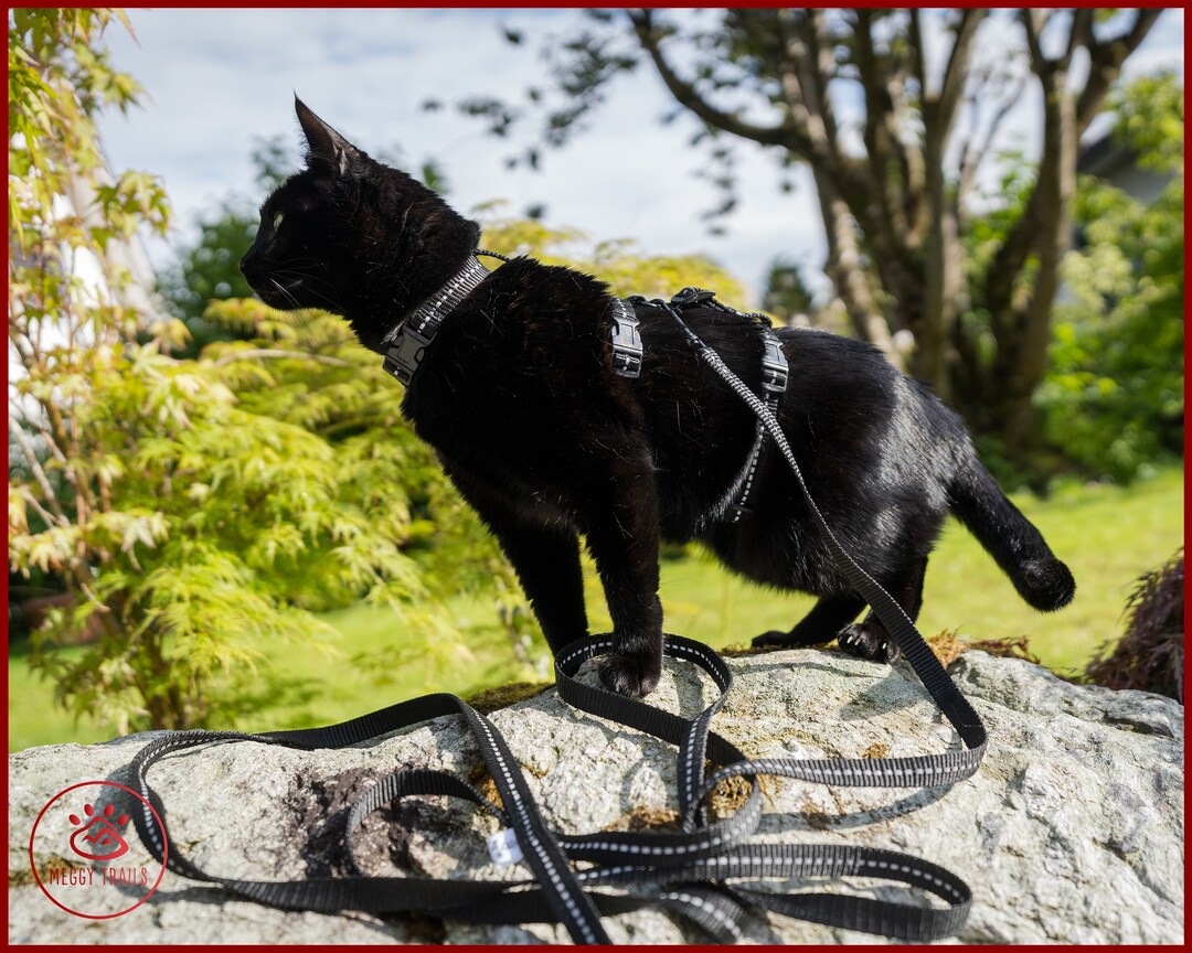 Reflective Adventure Cat ESCAPE Proof Harness, Harness for Cat Training