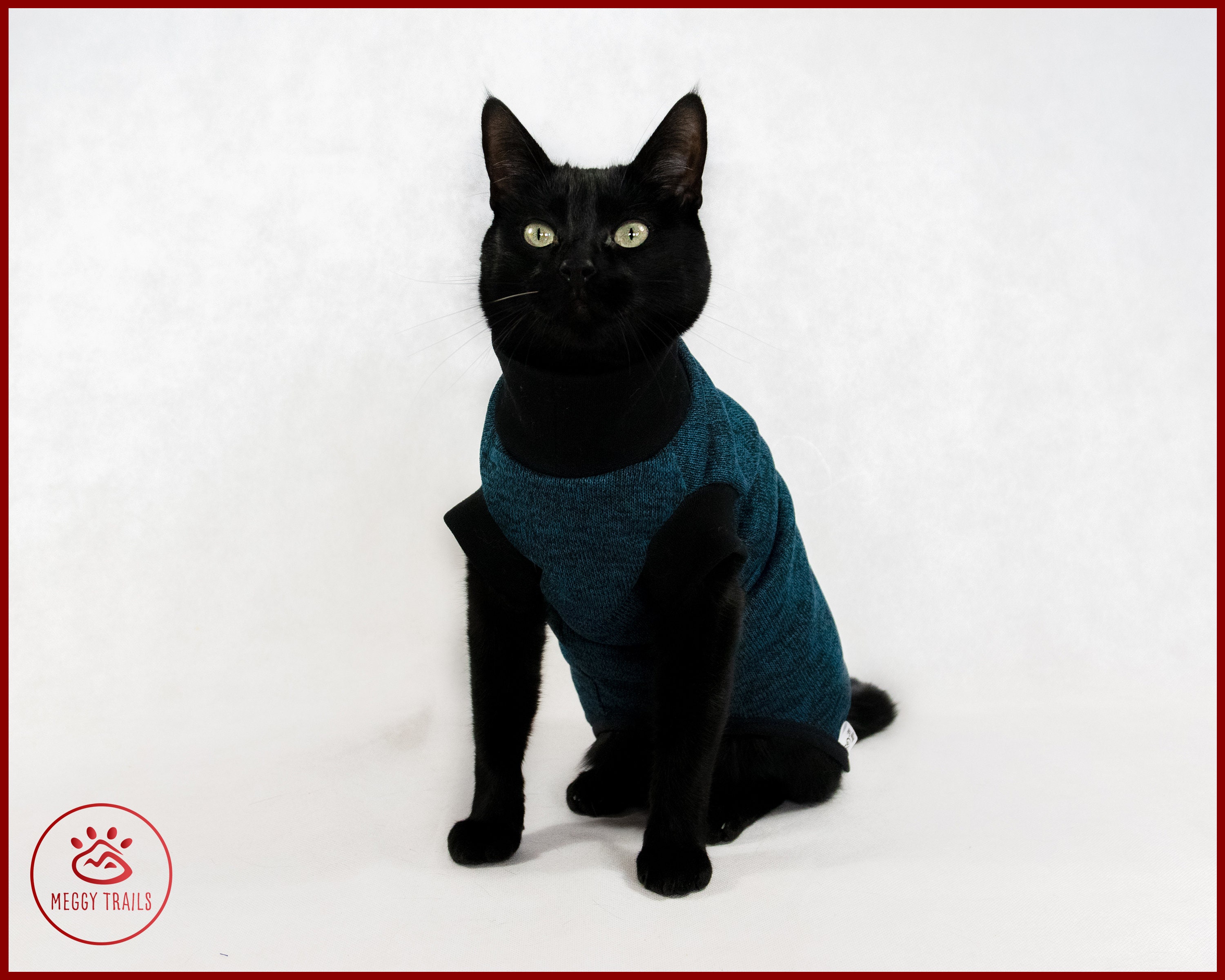 Warm Fleece Cat Sweater, Cat Turtle Neck Vest - Etsy