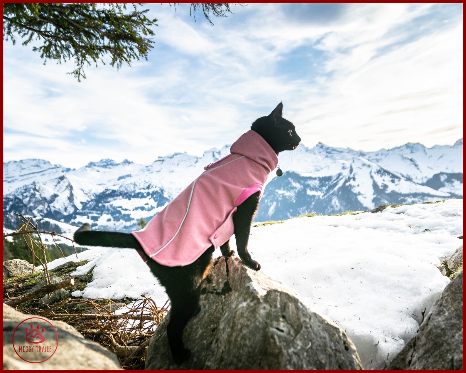 Softshell cat coat EXTRA warm winter jacket for cat Etsy