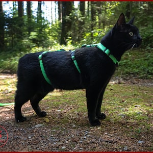 ESCAPE proof CAT HARNESS, Adjustable safety adventure cat harness, Y Front H Style cat training harness, travel cat gear image 9
