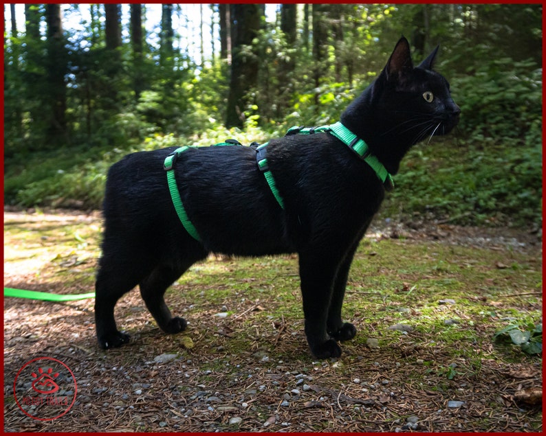 ESCAPE proof CAT HARNESS, Adjustable safety adventure cat harness, Y Front H Style cat training harness, travel cat gear image 9