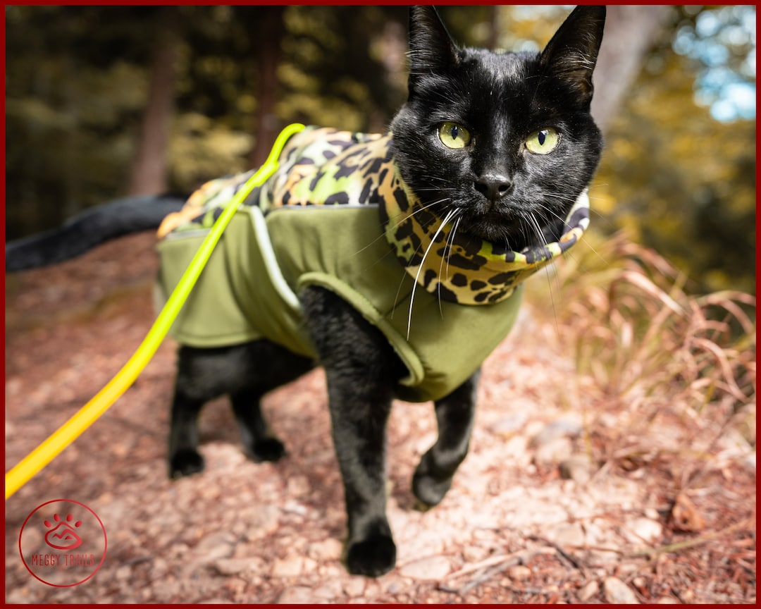 Warm Softshell Adventure Cat Jacket With Polar Fleece Inner Layer