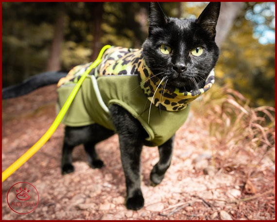 Chat' Veste à capuche polaire Femme