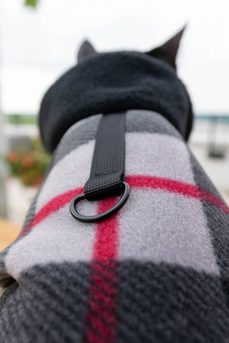 WINTER cat coat warm cat jacket cat jacket for winter Etsy