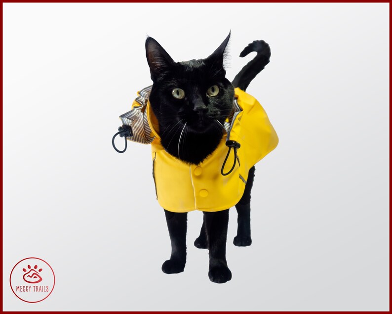 Stylish CAT Rain JACKET Waterproof Cat Coat Yellow Vintage Etsy