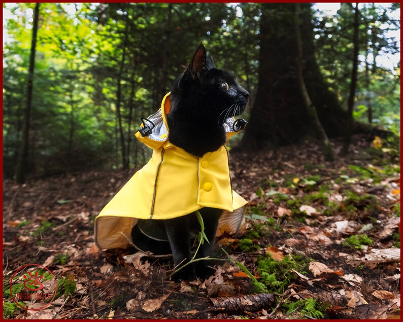 Stylish CAT Rain JACKET Waterproof Cat Coat Yellow Vintage Etsy