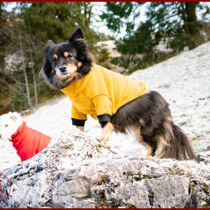 Dog fleece sweater, dog knit fleece shirt