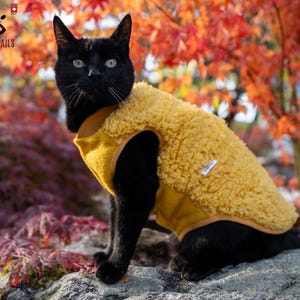 Handgjord kattväst i teddyfleece – Varma vinterkläder, koppelöppning