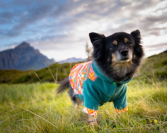 Warm dog sweater, fleece dog hoodie with Aztec print, custom clothes for dogs