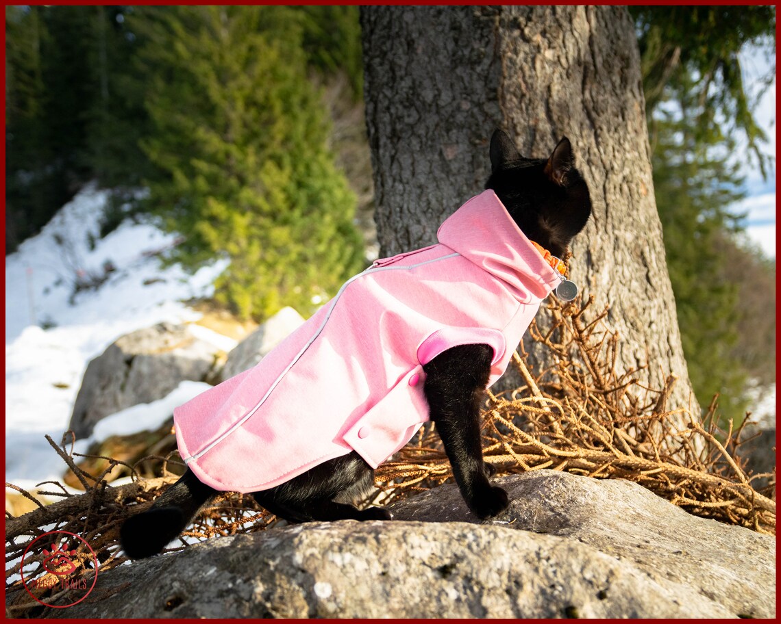 Softshell cat coat EXTRA warm winter jacket for cat Etsy