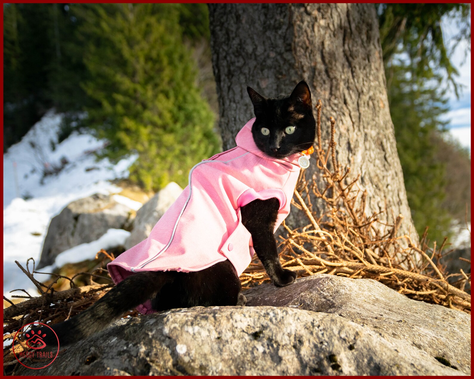 Softshell cat coat EXTRA warm winter jacket for cat Etsy