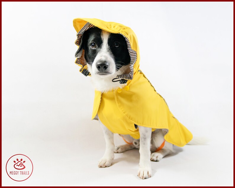 Buy DOG Raincoat Vintage RAIN JACKET 