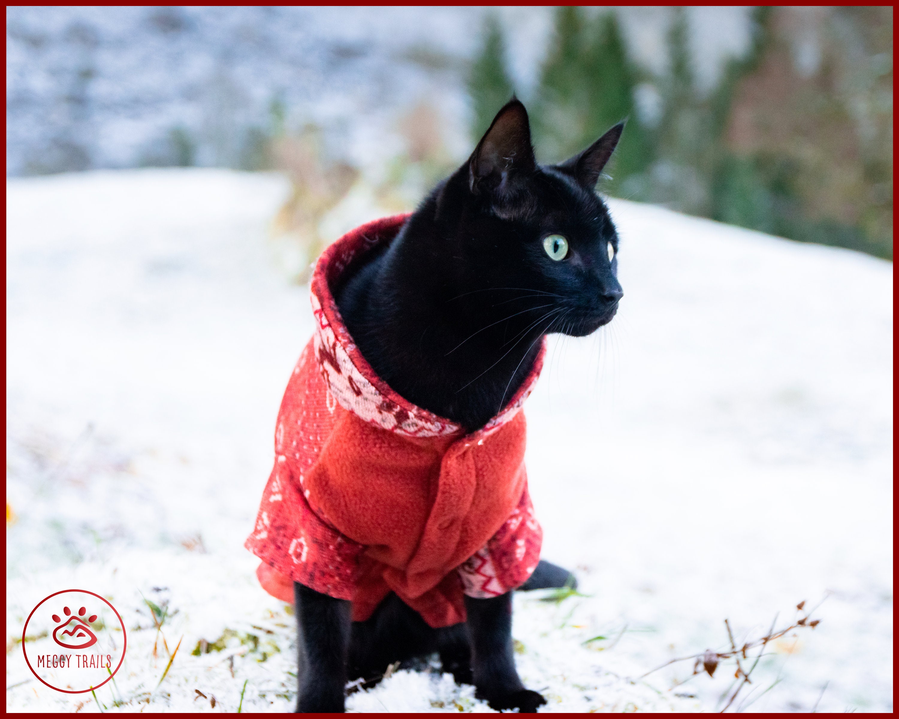 Buddy Cat Reflective Full Stretch Cat Collar, Red