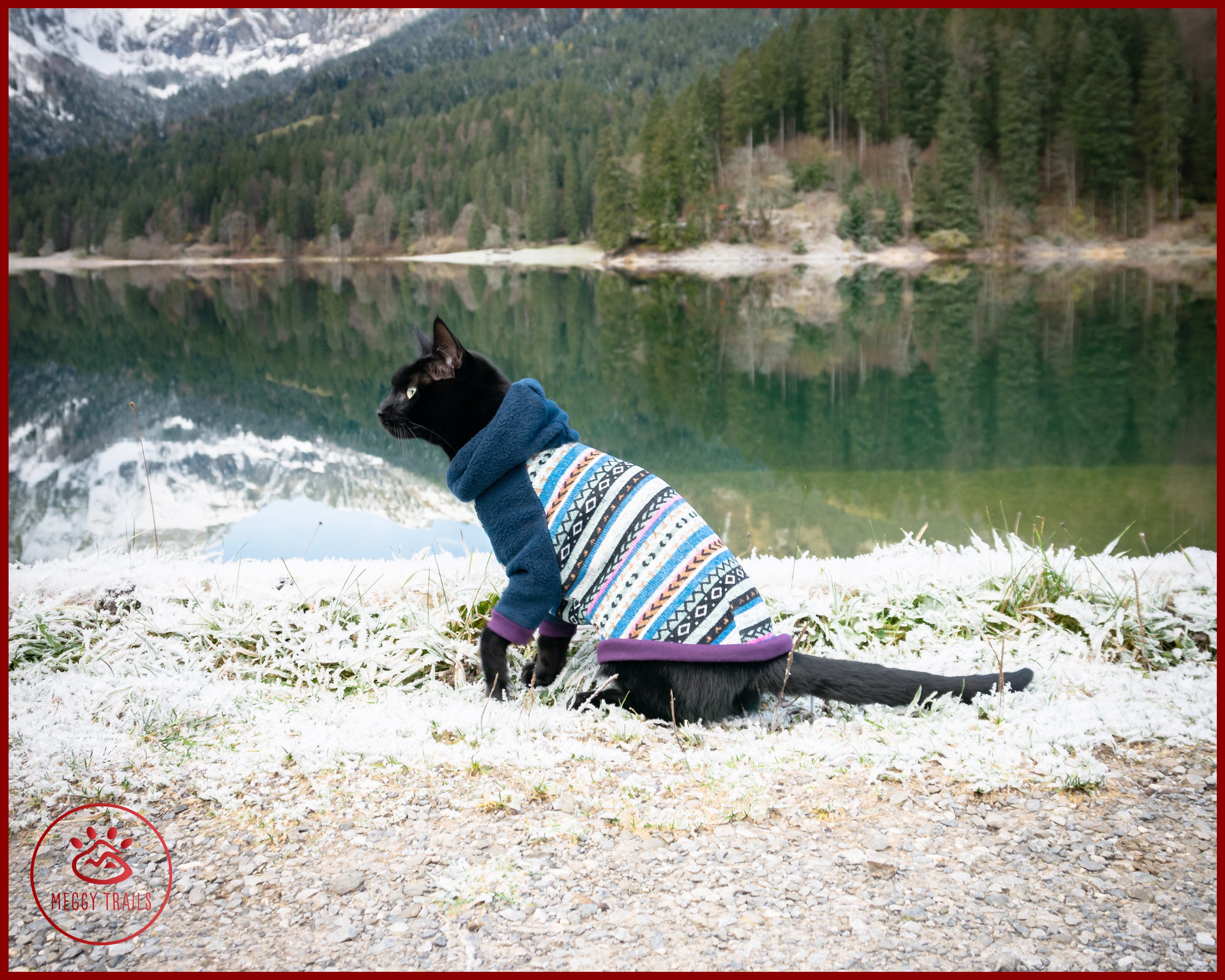 Ladies cat sweater sale