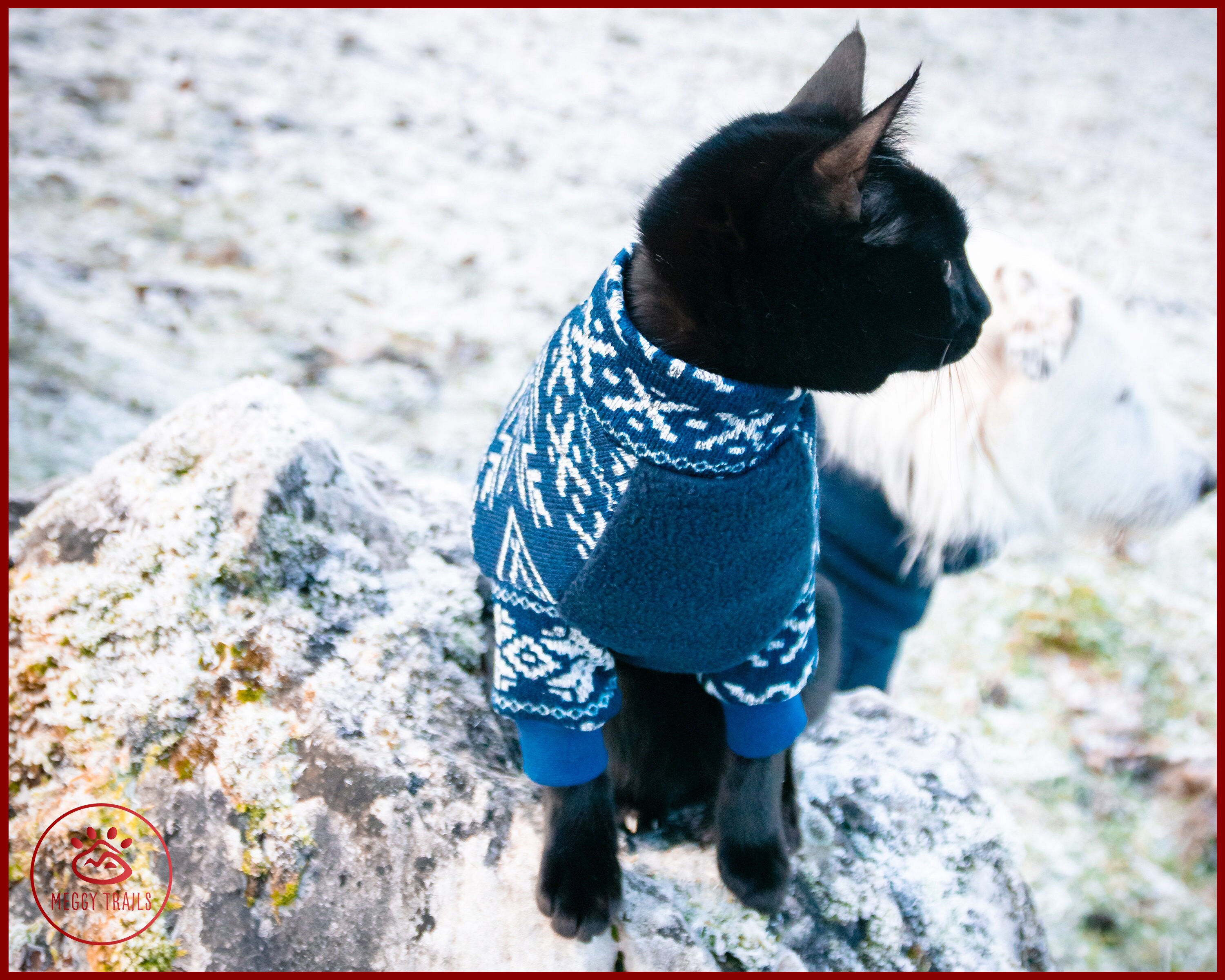 Fleece cat sweater warm cat sweater cat clothes for winter Etsy