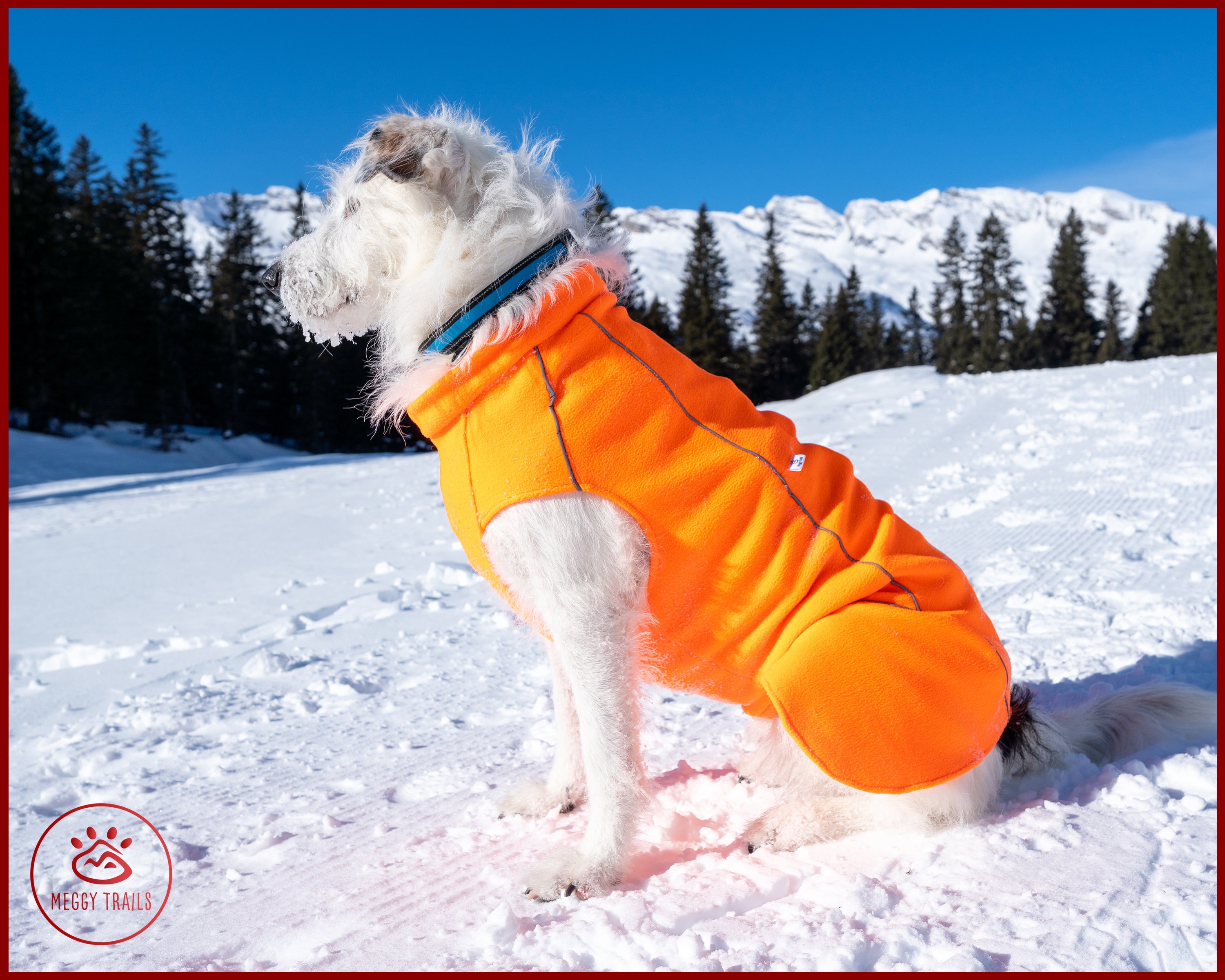 Kivalo Dog Reflektierende Weste für Hunde S orange 36-56 cm