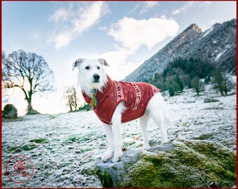 DOG FLEECE SWEATER, Dog pull over sweater, Dog gift, Warm dog vest, Knit optic dog sweater, Large dog clothes