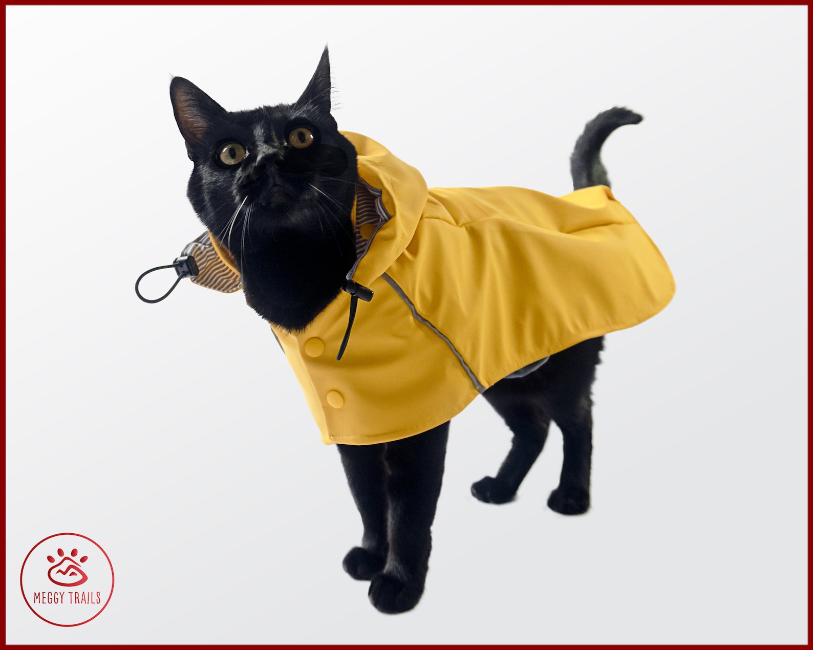 Stylish CAT Rain JACKET Waterproof Cat Coat Yellow Vintage Etsy