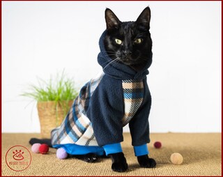 Giacca In Pile Donna Con Stampa Gatti E Bottone - Caldo Maglione Invernale Con Tasche, Ricamo Gatto E Farfalla (Nero, Rosa, Blu, Marrone)