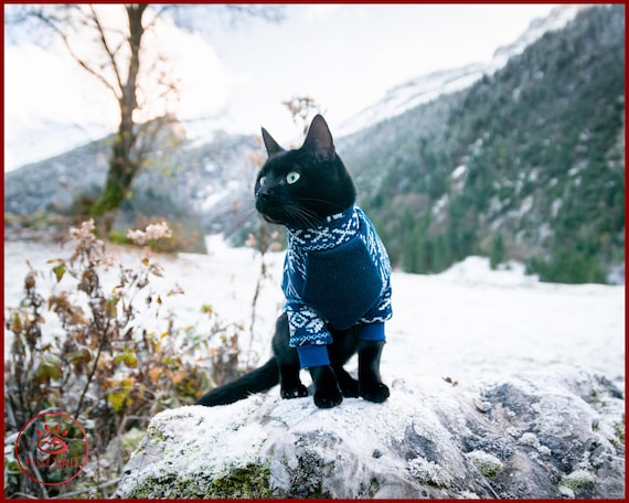 amargo ¿Cómo Cava Suéter de lana cálido para gato camisa de gato de lana óptica - Etsy España