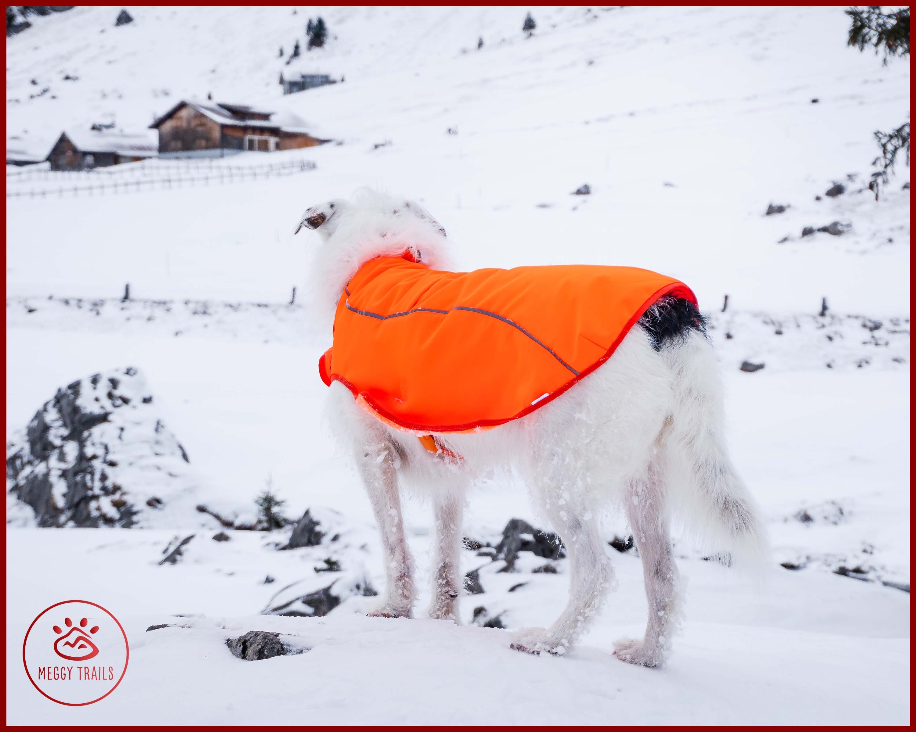 DOG Sichtbarkeitsweste, NEON reflektierende Sicherheitsweste für Hund,  Softshell-Hundemantel, wasserdichter Regenmantel, große Hundeweste,  Hundemantel - .de