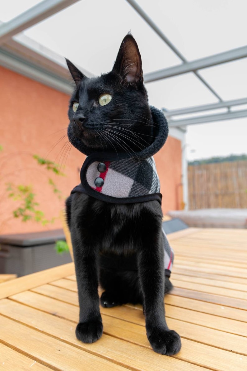 WINTER cat coat warm cat jacket cat jacket for winter Etsy