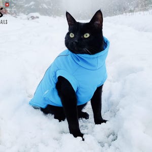 Könnte beinhalten: Eine schwarze Katze trägt eine leuchtend blaue Winterjacke mit Kapuze und steht im Schnee. Die Jacke hat einen hohen Kragen und einen Reißverschluss. Die Katze schaut nach links aus dem Bild.
