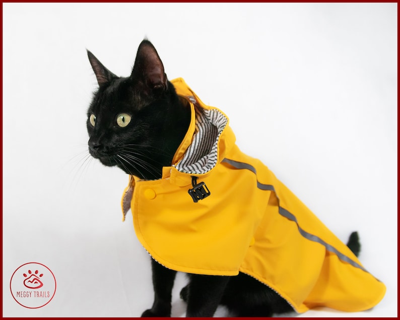 Cat Rain Coat ubicaciondepersonas.cdmx.gob.mx