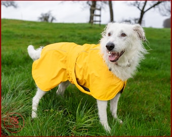 Stylish and Waterproof: Reversible Membran Dog Jacket for All-Weather Adventures, dog raincoat, water and windproof jacket for dog