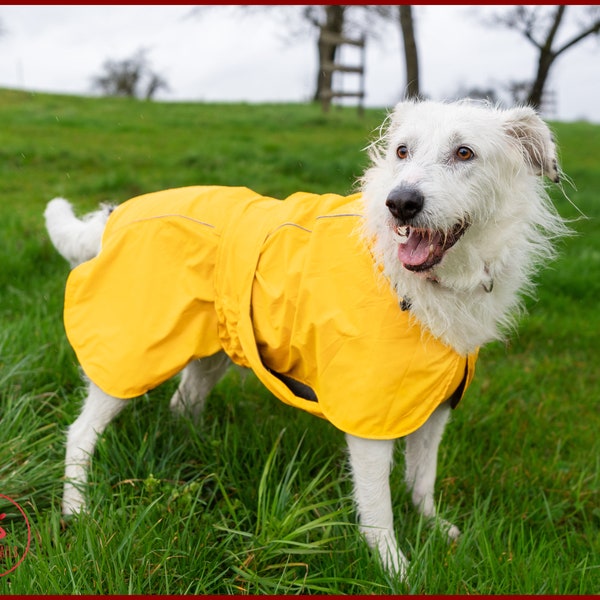 Stylisch und wasserdicht: Wende-Membran-Hundejacke für All-Weather-Abenteuer, Hunderegenmantel, wasser- und winddichte Jacke für Hunde