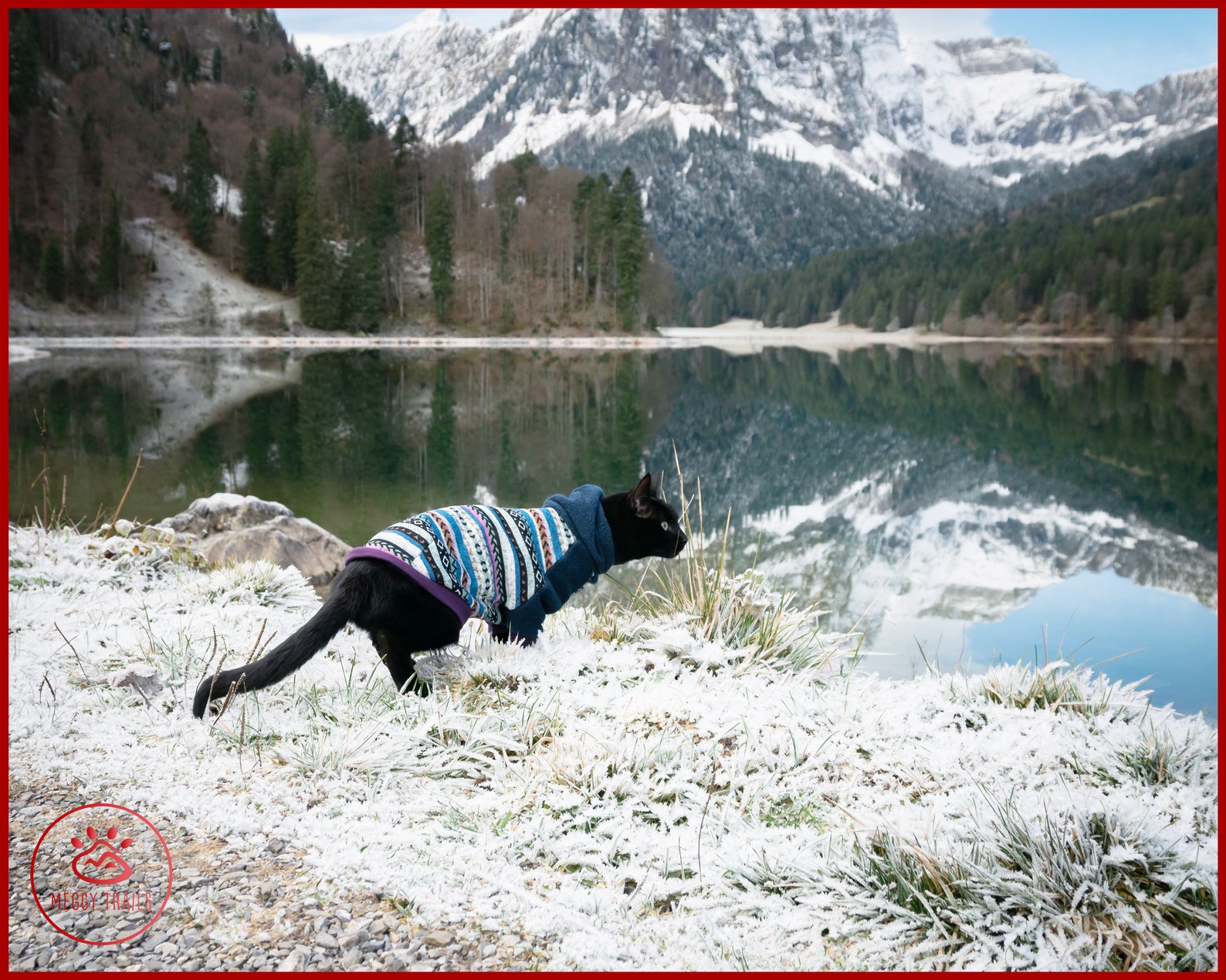 Warm Fleece SWEATER for Cat Knit Optic Fleece Cat Hoodie Etsy