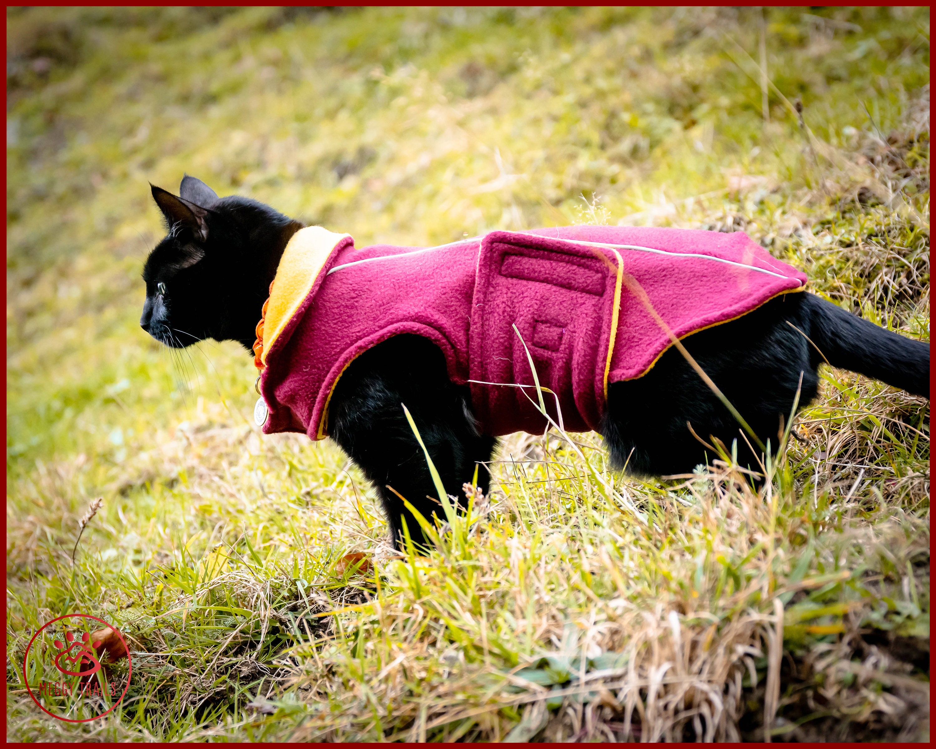 Warm winter CAT JACKET Polar fleece coat for cat Etsy