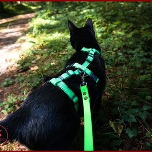 ESCAPE proof CAT HARNESS, Adjustable safety adventure cat harness, Y Front H Style cat training harness, travel cat gear image 4